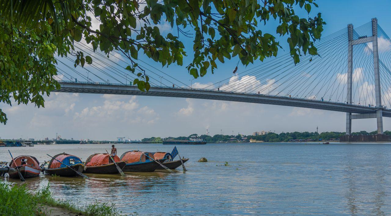 Bengal landscape