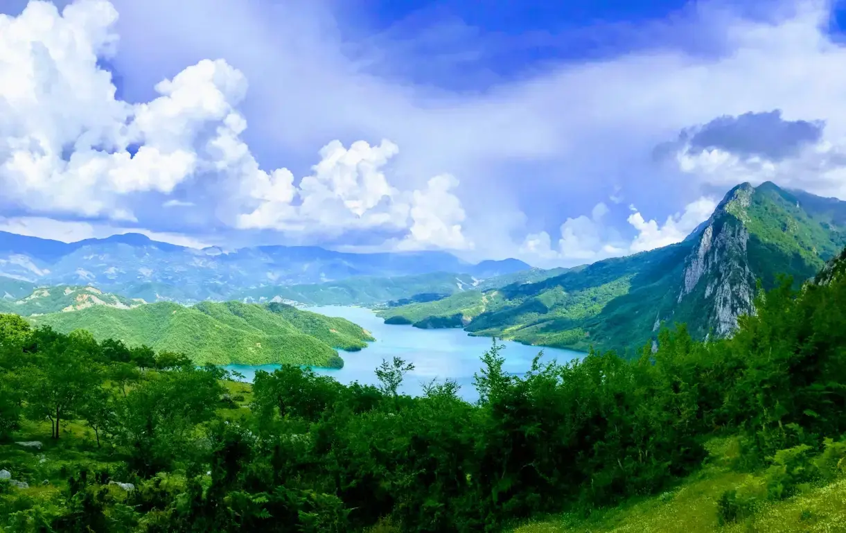 Bengal landscape